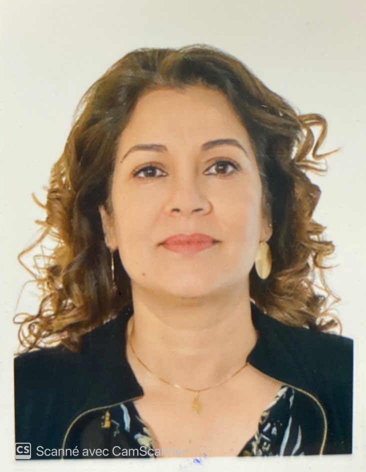 Maître de Conférences et Directrice du laboratoire L3S,
ENIT